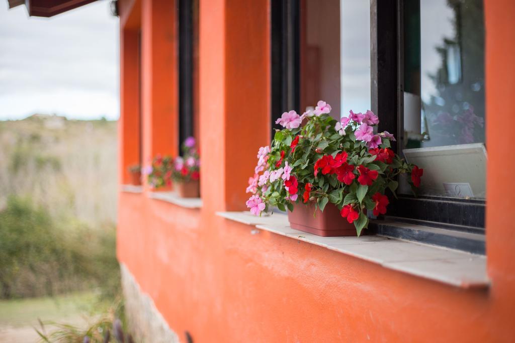 Hostel Aneley Tanti Zewnętrze zdjęcie